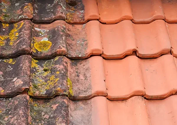 Les erreurs à éviter lors de la rénovation de toiture à Etterbeek